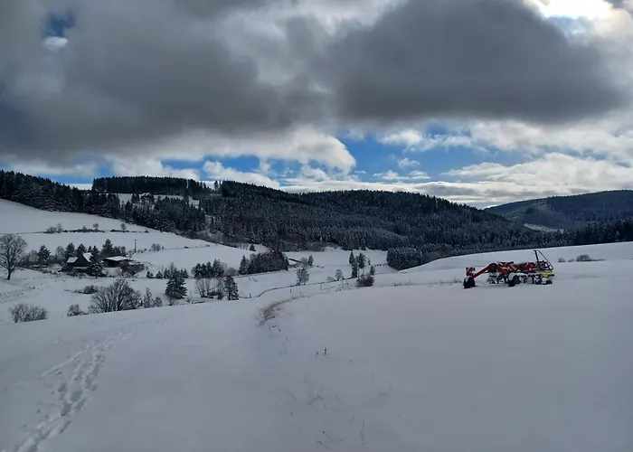 Schwarzwaldblick