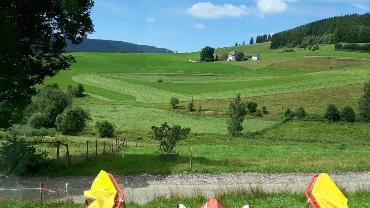 Schwarzwaldblick Appartement *