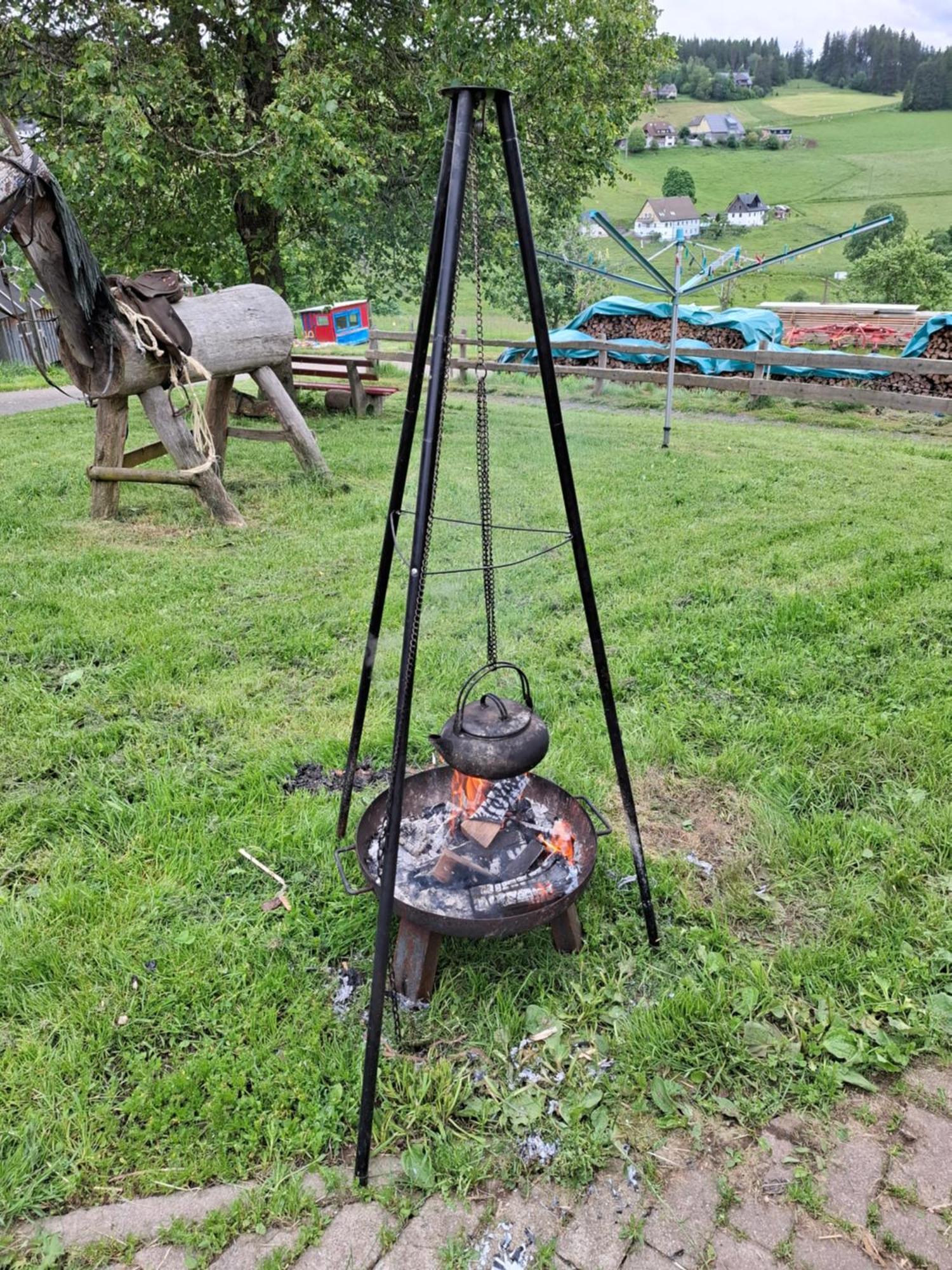 Schwarzwaldblick